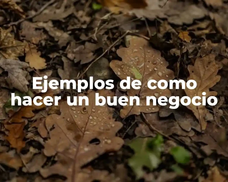 Ejemplos de como hacer un buen negocio