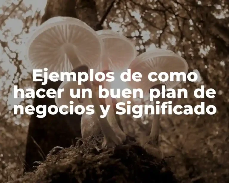 Ejemplos de como hacer un buen plan de negocios y Significado