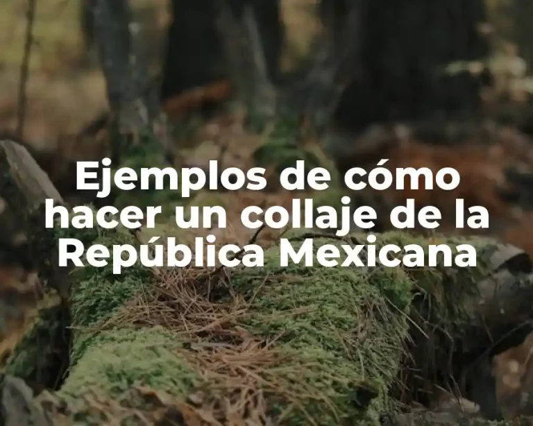 Ejemplos de cómo hacer un collaje de la República Mexicana