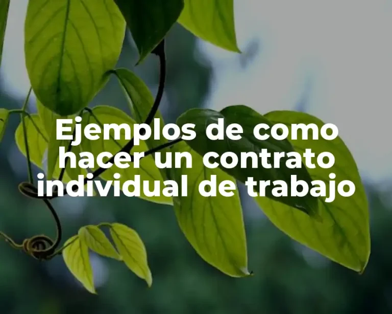 Ejemplos de como hacer un contrato individual de trabajo