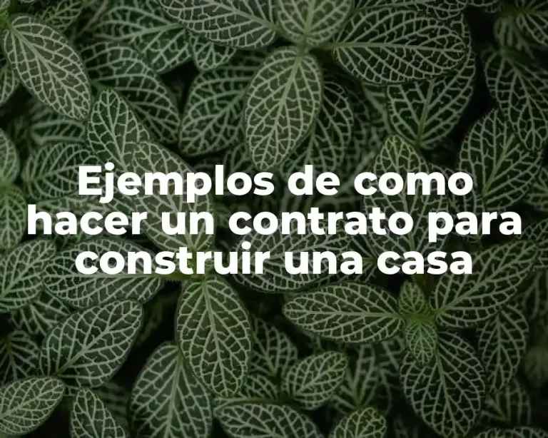 Ejemplos de como hacer un contrato para construir una casa