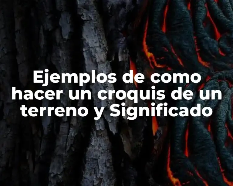 Ejemplos de como hacer un croquis de un terreno y Significado