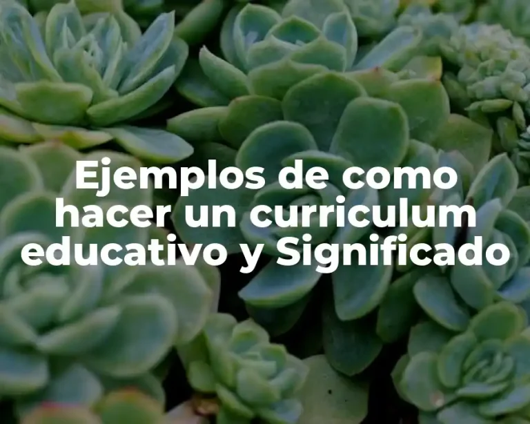 Ejemplos de como hacer un curriculum educativo y Significado