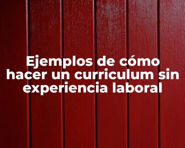 Ejemplos de cómo hacer un curriculum sin experiencia laboral