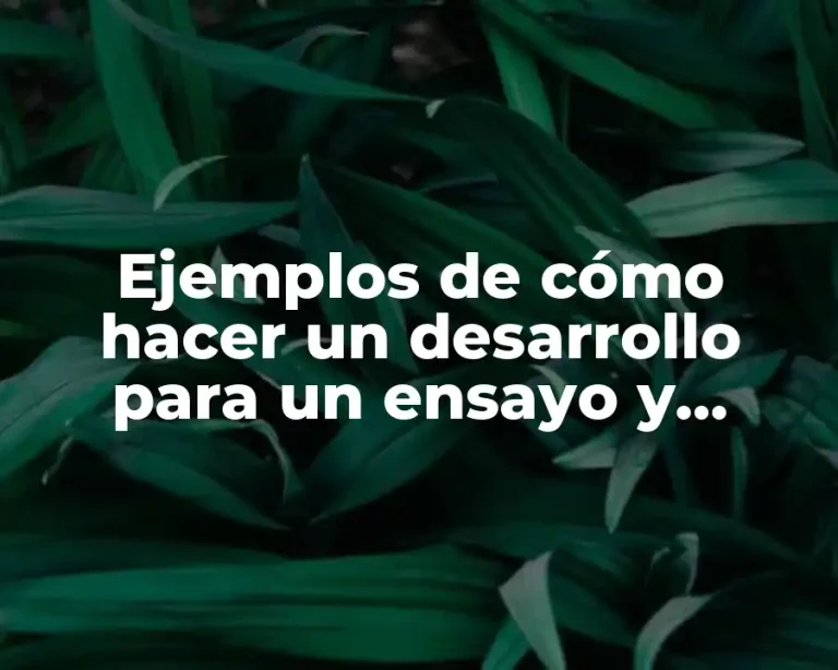 Ejemplos de cómo hacer un desarrollo para un ensayo y Significado