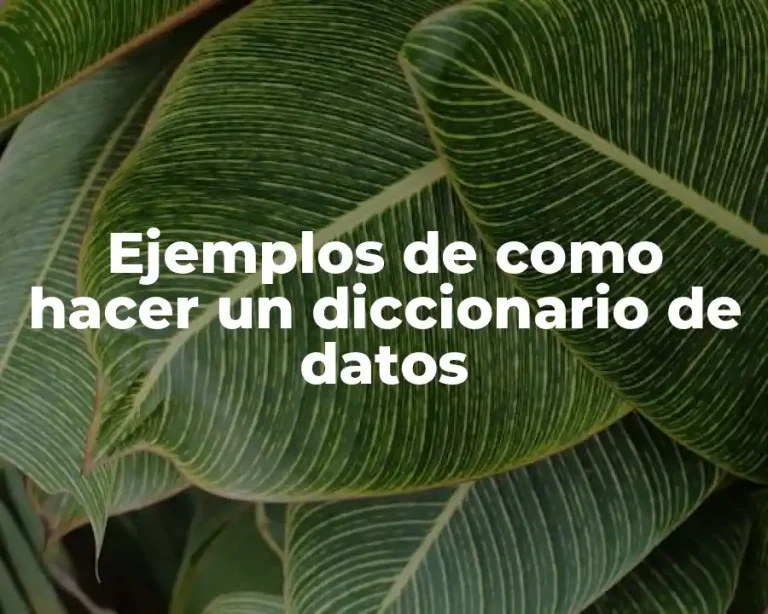 Ejemplos de como hacer un diccionario de datos