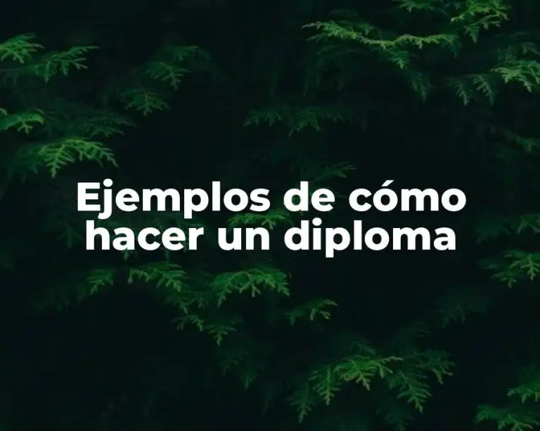 Ejemplos de cómo hacer un diploma