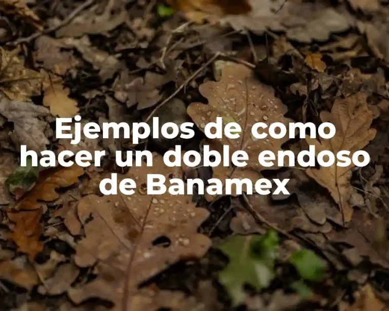 Ejemplos de como hacer un doble endoso de Banamex