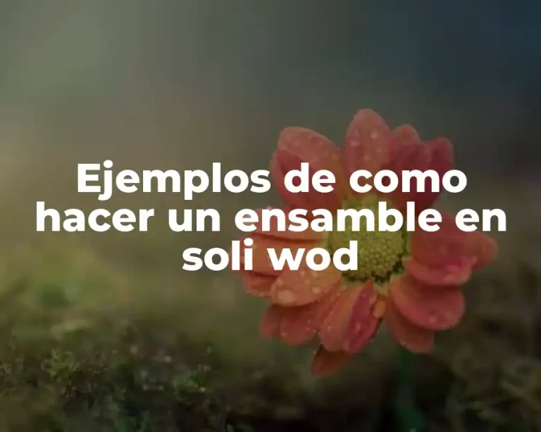 Ejemplos de como hacer un ensamble en soli wod