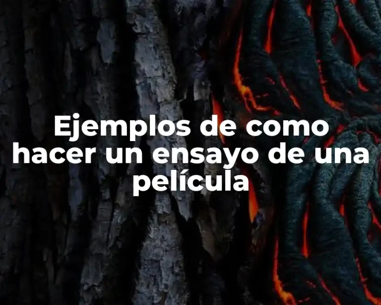 Ejemplos de como hacer un ensayo de una película
