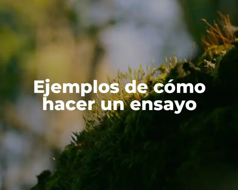 Ejemplos de cómo hacer un ensayo