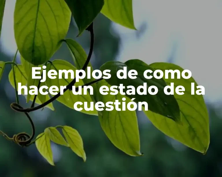 Ejemplos de como hacer un estado de la cuestión