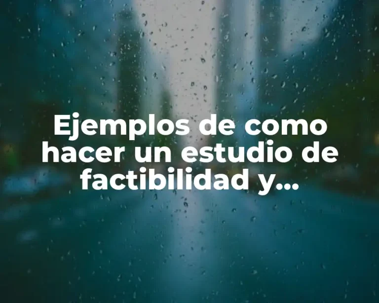 Ejemplos de como hacer un estudio de factibilidad y Significado