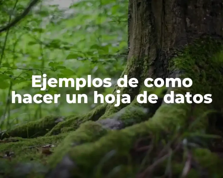 Ejemplos de como hacer un hoja de datos