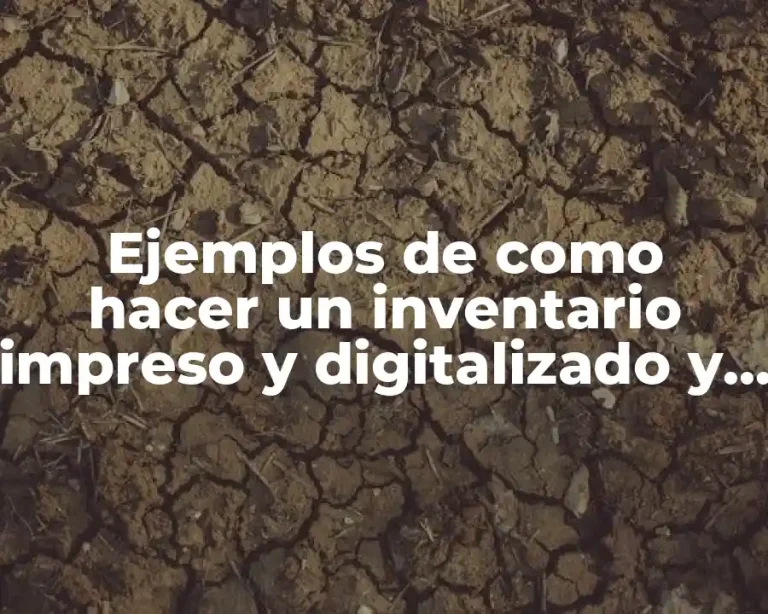Ejemplos de como hacer un inventario impreso y digitalizado y Significado