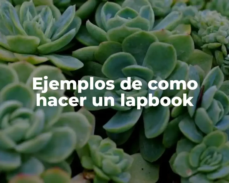 Ejemplos de como hacer un lapbook