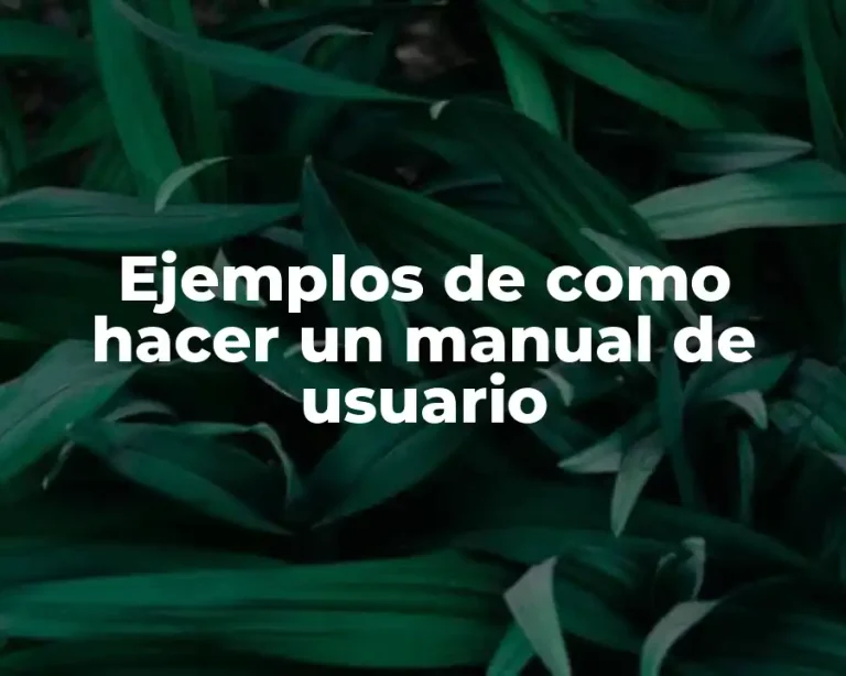 Ejemplos de como hacer un manual de usuario