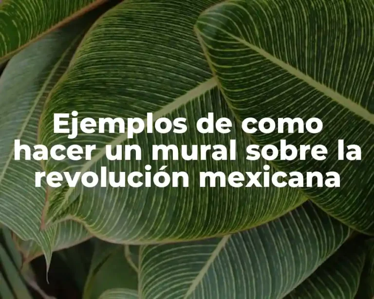 Ejemplos de como hacer un mural sobre la revolución mexicana