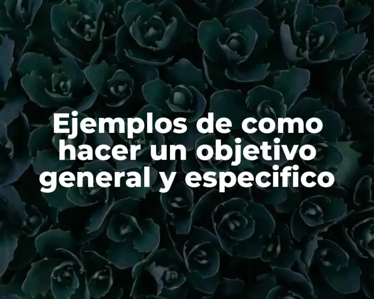 Ejemplos de como hacer un objetivo general y especifico