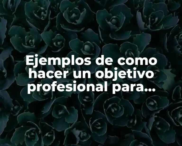 Ejemplos de como hacer un objetivo profesional para curriculum