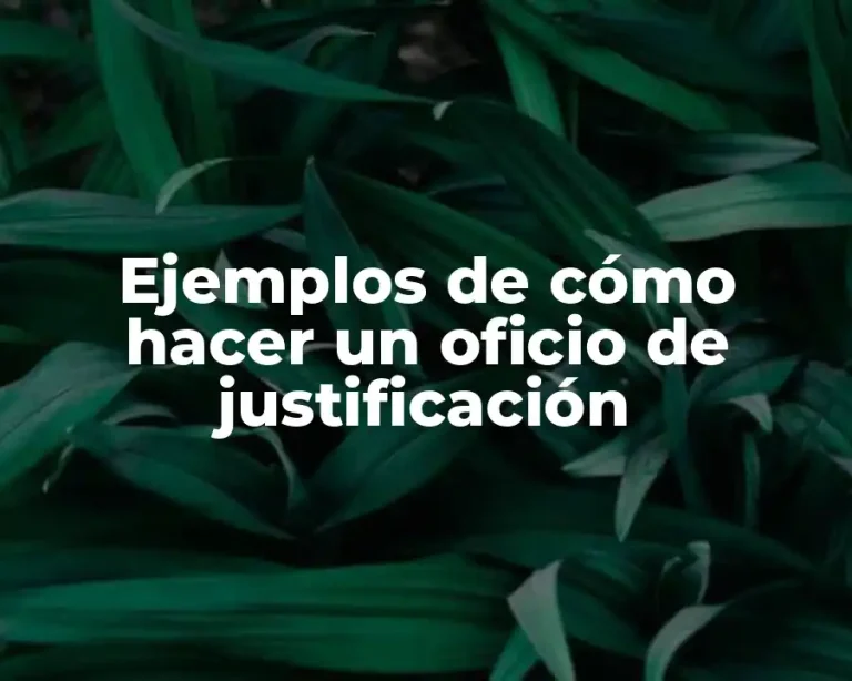 Ejemplos de cómo hacer un oficio de justificación