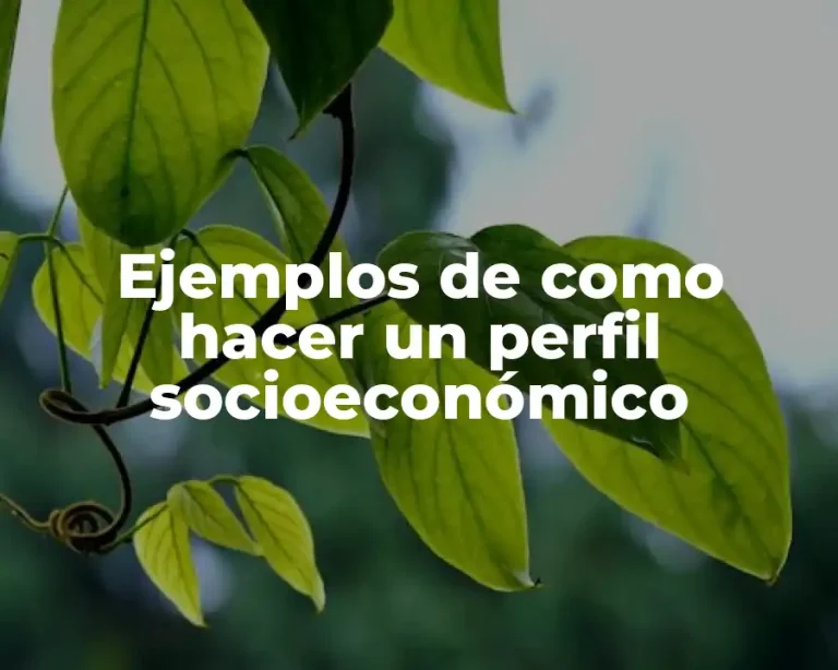 Ejemplos de como hacer un perfil socioeconómico
