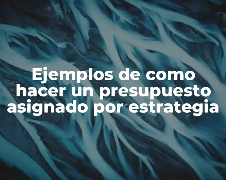 Ejemplos de como hacer un presupuesto asignado por estrategia