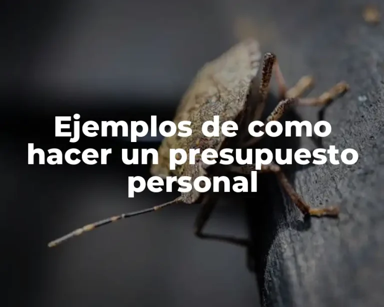Ejemplos de como hacer un presupuesto personal