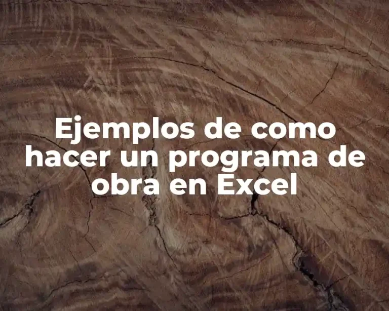 Ejemplos de como hacer un programa de obra en Excel