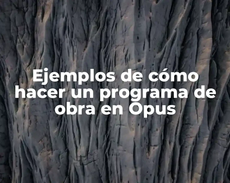 Ejemplos de cómo hacer un programa de obra en Opus