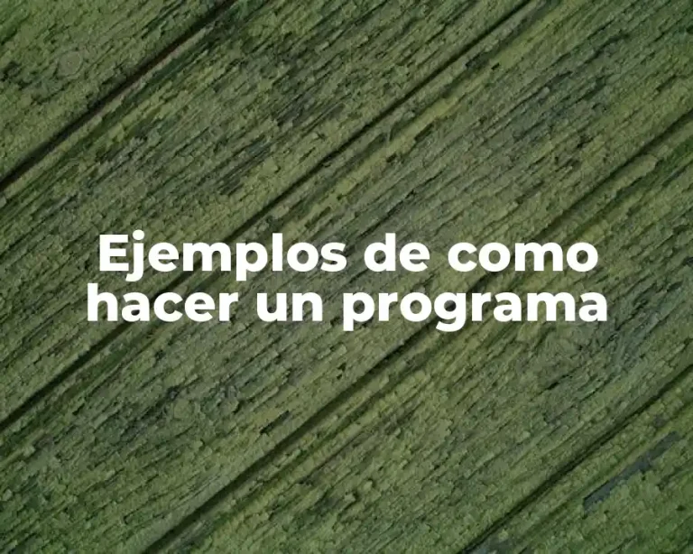 Ejemplos de como hacer un programa