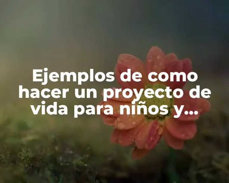 Ejemplos de como hacer un proyecto de vida para niños y Significado
