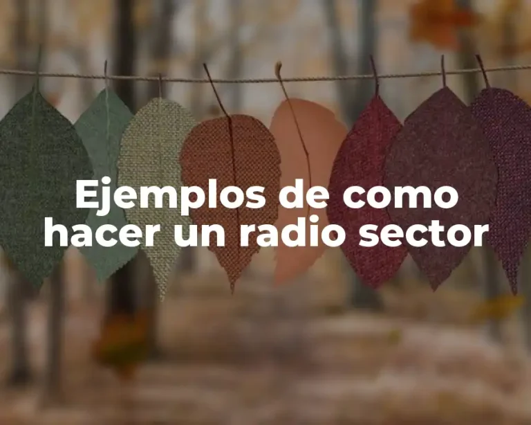 Ejemplos de como hacer un radio sector