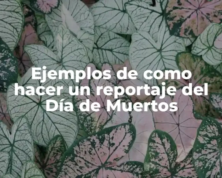 Ejemplos de como hacer un reportaje del Día de Muertos