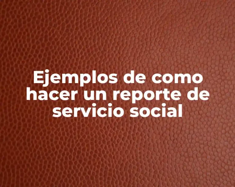 Ejemplos de como hacer un reporte de servicio social