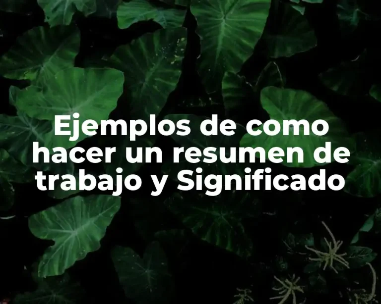 Ejemplos de como hacer un resumen de trabajo y Significado