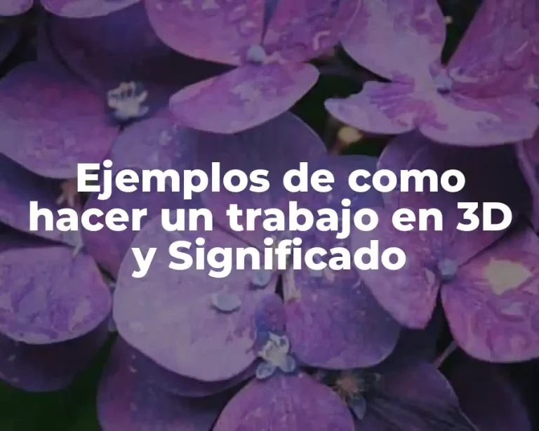 Ejemplos de como hacer un trabajo en 3D y Significado