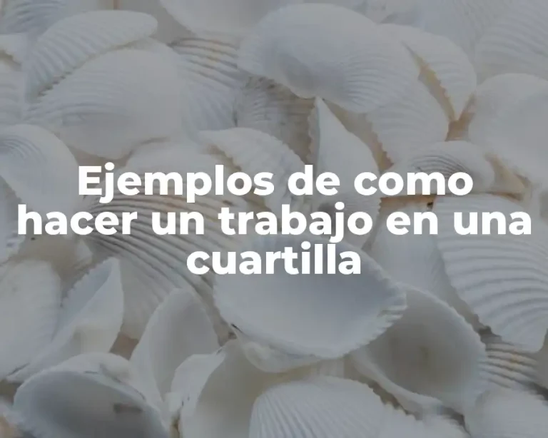 Ejemplos de como hacer un trabajo en una cuartilla