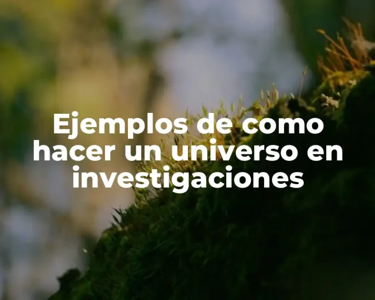 Ejemplos de como hacer un universo en investigaciones