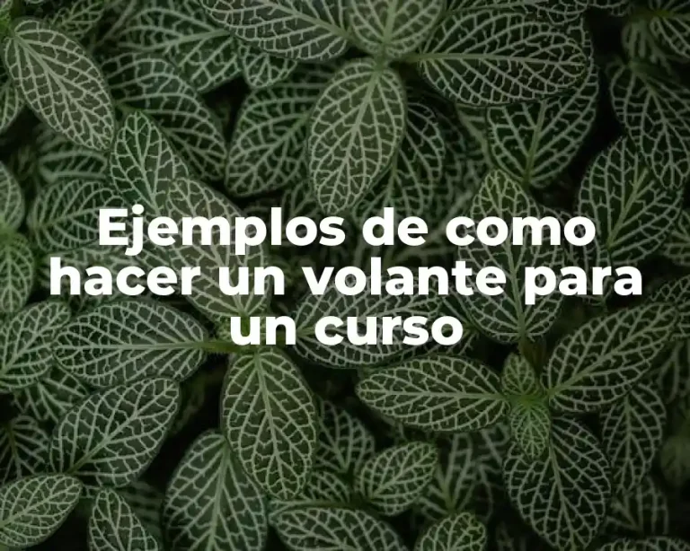 Ejemplos de como hacer un volante para un curso