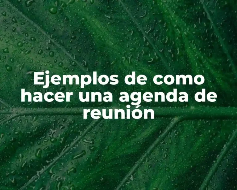 Ejemplos de como hacer una agenda de reunión