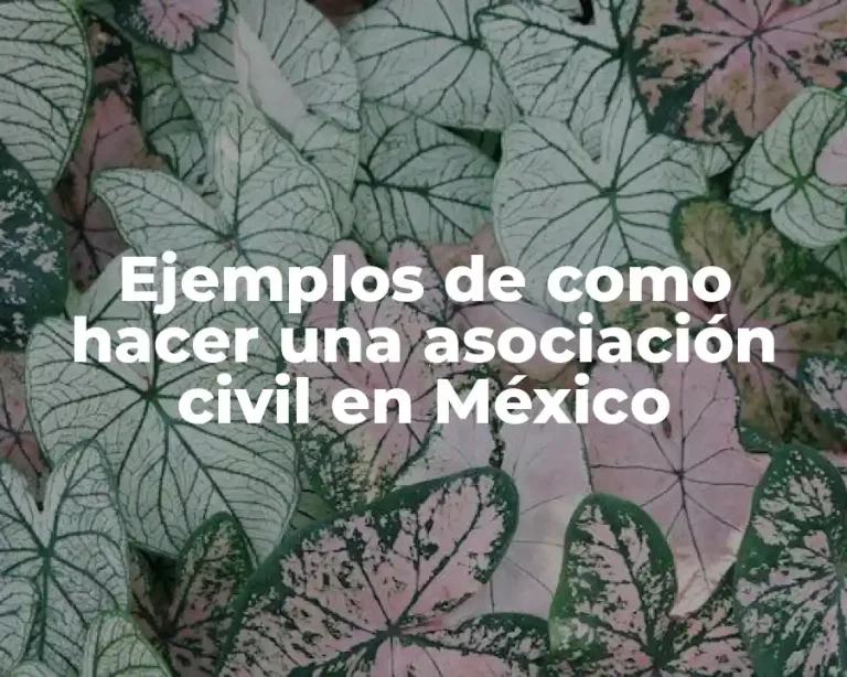 Ejemplos de como hacer una asociación civil en México