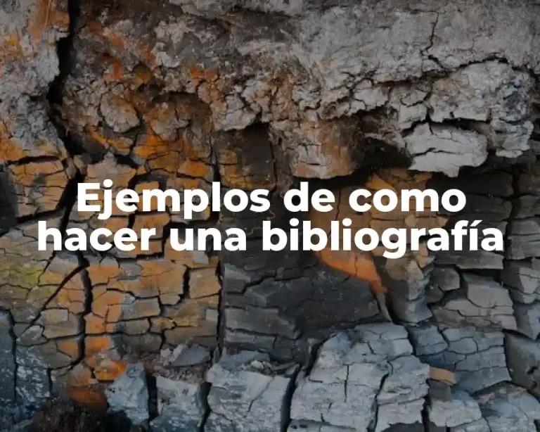 Ejemplos de como hacer una bibliografía
