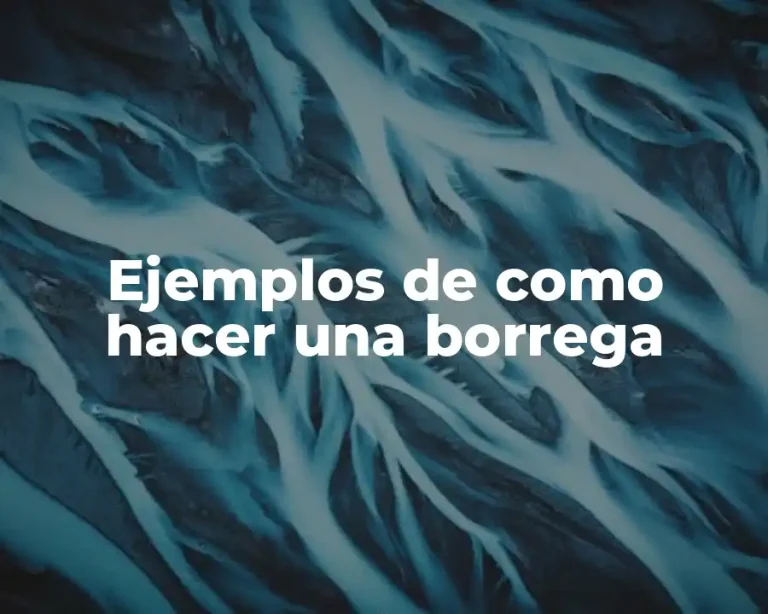 Ejemplos de como hacer una borrega