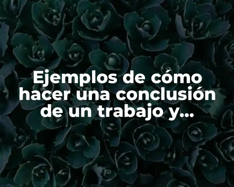 Ejemplos de cómo hacer una conclusión de un trabajo y Significado