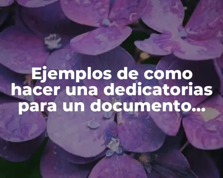 Ejemplos de como hacer una dedicatorias para un documento recepcional