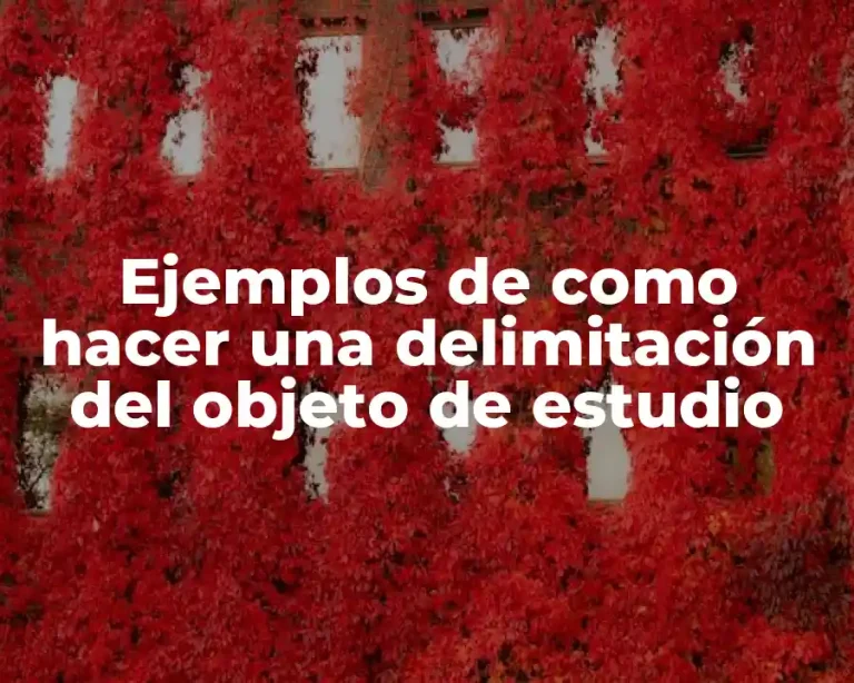 Ejemplos de como hacer una delimitación del objeto de estudio