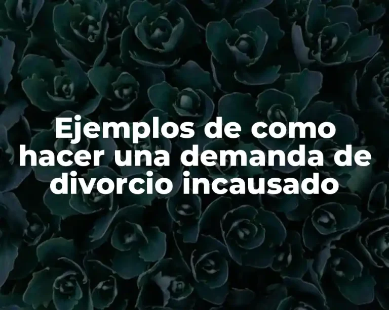 Ejemplos de como hacer una demanda de divorcio incausado