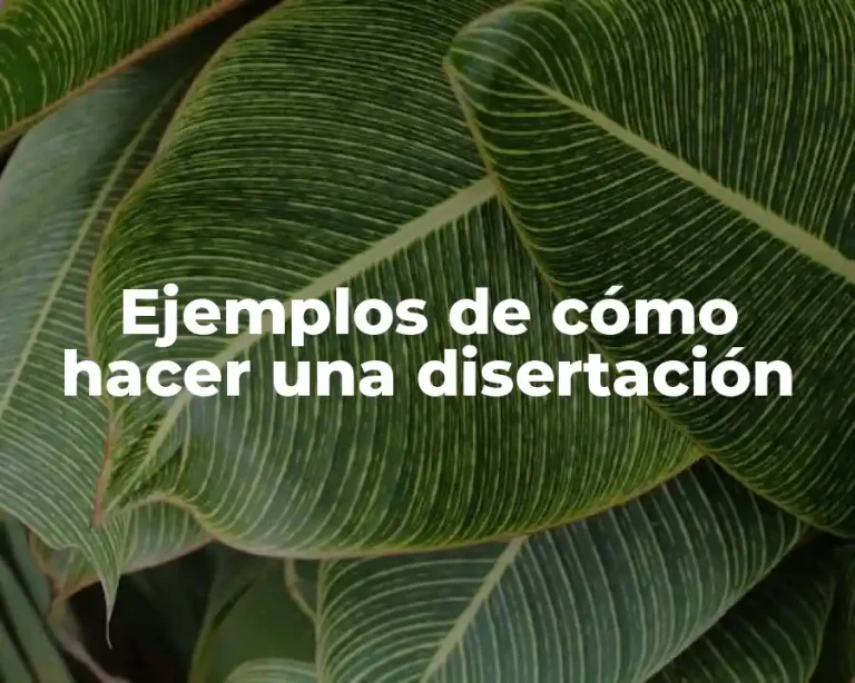 Ejemplos de cómo hacer una disertación