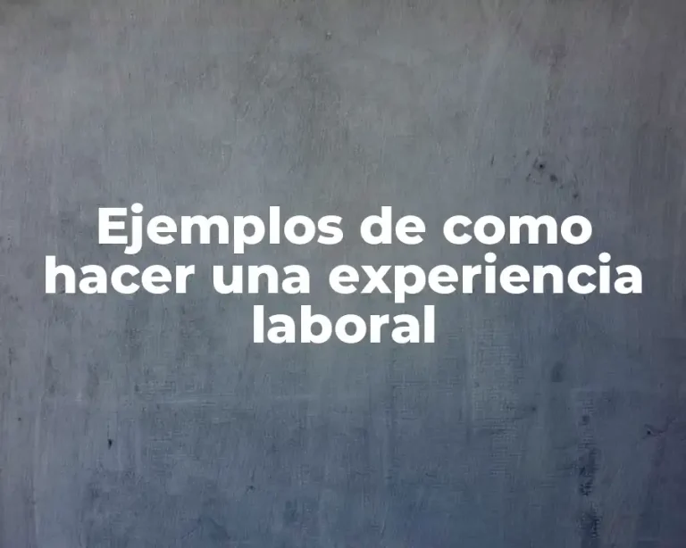 Ejemplos de como hacer una experiencia laboral
